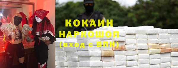 прущий лед Алзамай