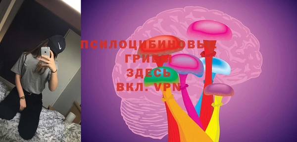 2c-b Алексин